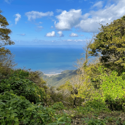 RESTART (feat. Lil island) Front Cover