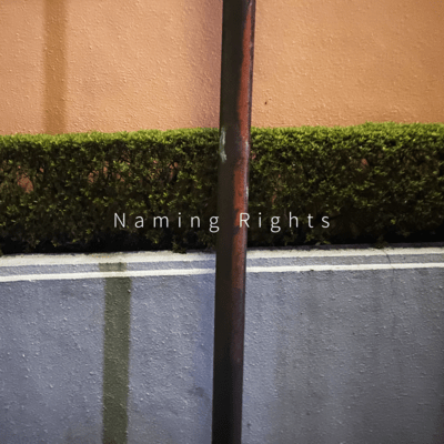 Naming Rights (feat. IA) Front Cover