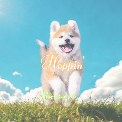 Hoppin'のジャケット写真