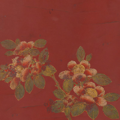 Camellias... Front Cover