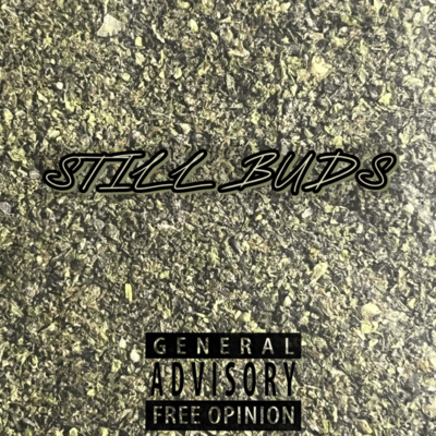 STILL BUDS Front Cover