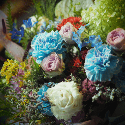 light up Front Cover