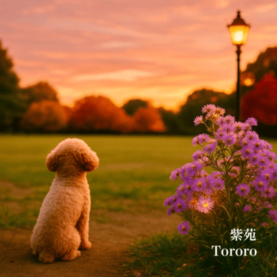 紫苑のジャケット写真