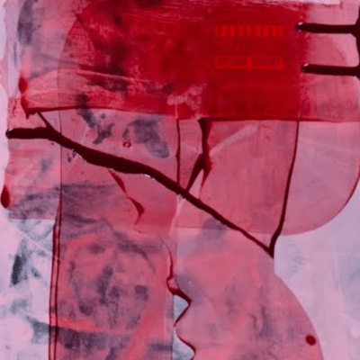 Somei Yoshino Front Cover