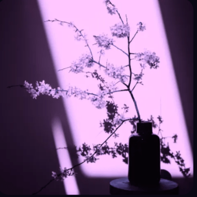 泡沫の手紙のジャケット写真