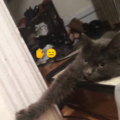 太陽の子のジャケット写真