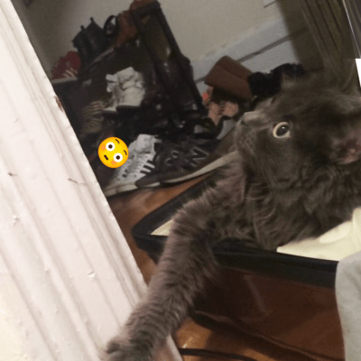 友達とおれ温泉行くのジャケット写真