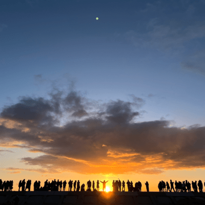 魚のジャケット写真