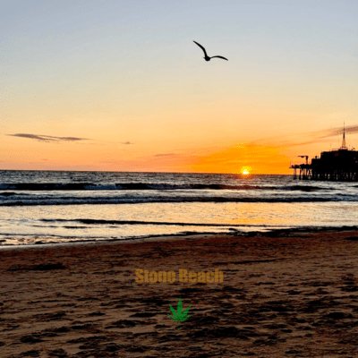 Stone Beach (feat. Gang Gang & 朱理)のジャケット写真