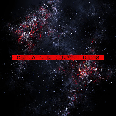 CALL USのジャケット写真