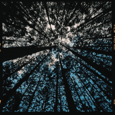 Just Forestのジャケット写真