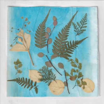 陸と安藤のジャケット写真