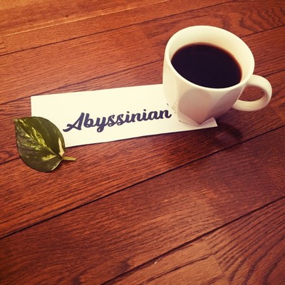 Abyssinian Front Cover