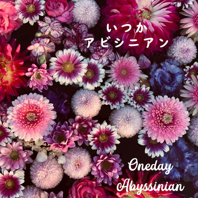 oneday Front Cover