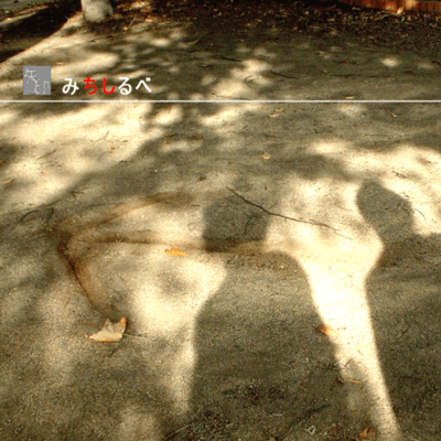 MICHISHIRUBE Front Cover