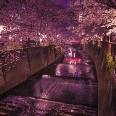 唄う想いのジャケット写真