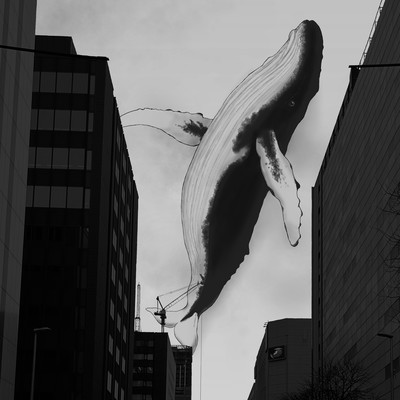 ビル空に鯨は鳴くのジャケット写真
