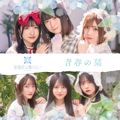 seishun no shiori Front Cover