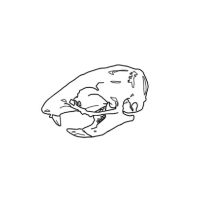 Bone Front Cover
