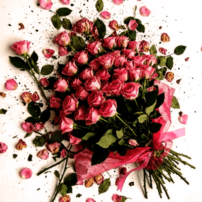 MEGADORK - desire for recognition - Front Cover