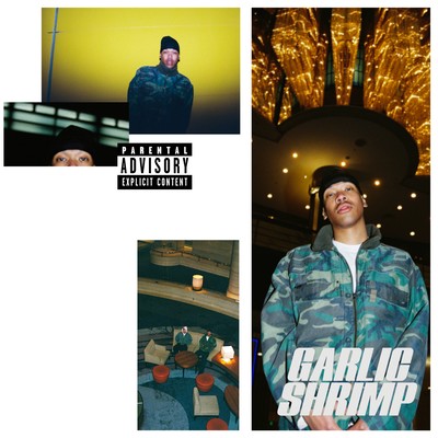 garlic shrimp Front Cover