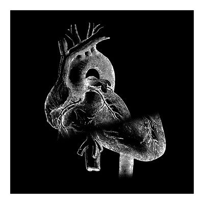 ビトレイヤルのジャケット写真