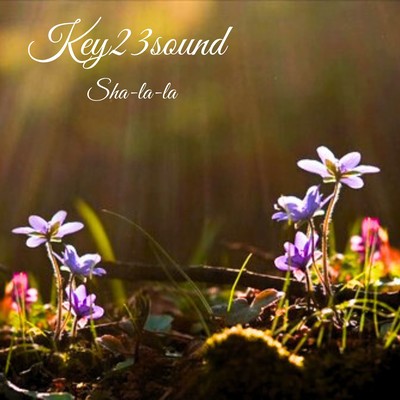 Sha-la-la Front Cover