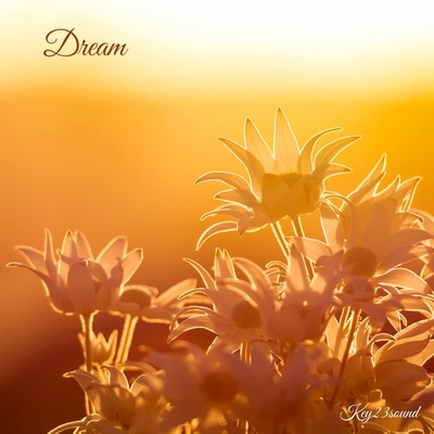 DREAMのジャケット写真