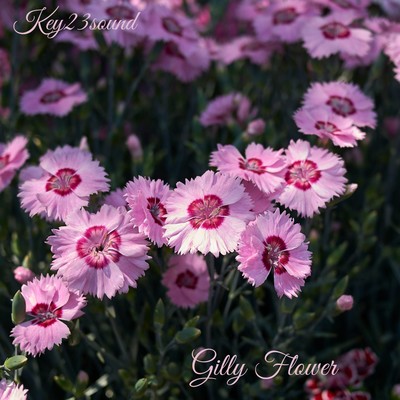 Gilly flower Front Cover