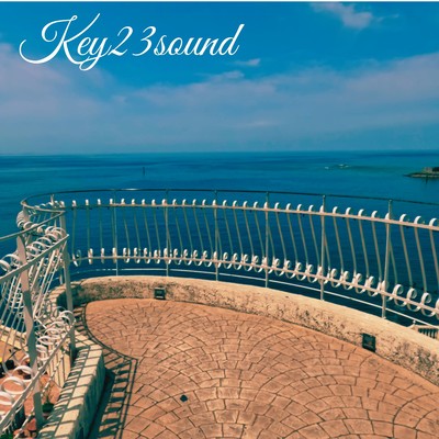 Blowin' in the wind Front Cover