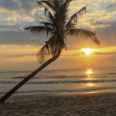 Early morning shore Front Cover