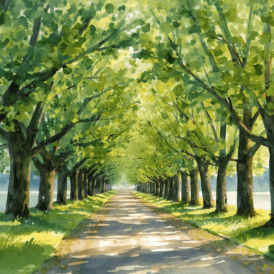The season of fresh green Front Cover