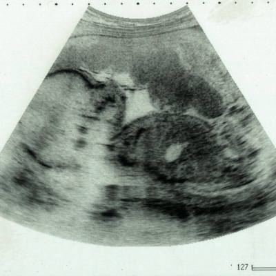 paranoia. Front Cover