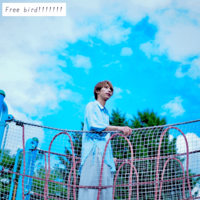 Free bird!!!!!!! Front Cover