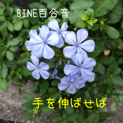 手を伸ばせばのジャケット写真