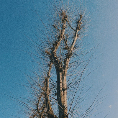 Sonicboom Front Cover