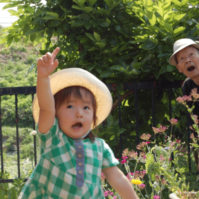 花蝶風月のジャケット写真