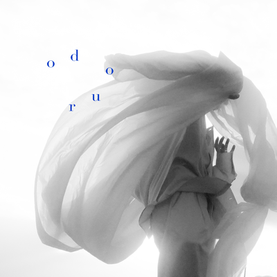 odoruのジャケット写真