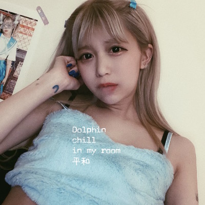 Dolphin chill in my room HEIWA Front Cover