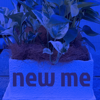 new me Front Cover