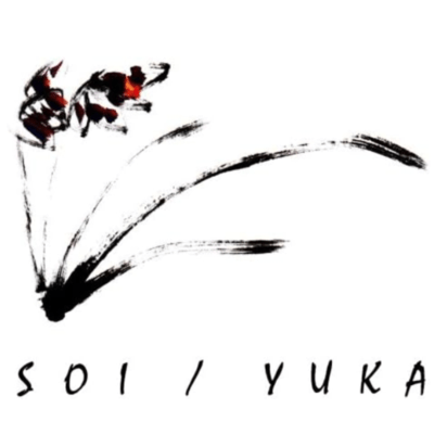 SOI Front Cover