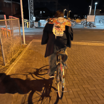 チーターのジャケット写真