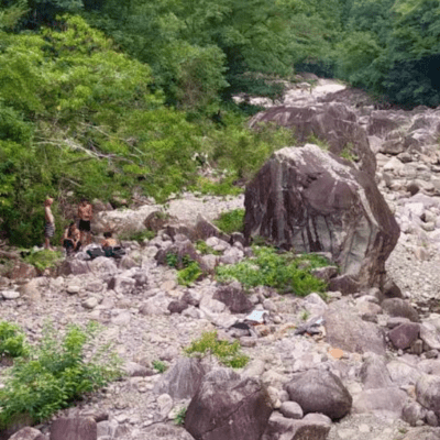 Cheerios Front Cover