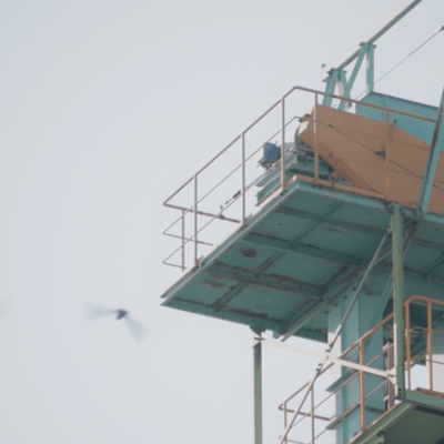 汽水域のジャケット写真