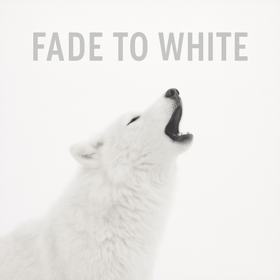 Fade to White Front Cover