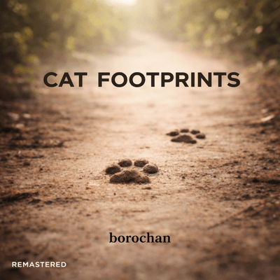 Cat Footprints (2026 Remaster) Front Cover