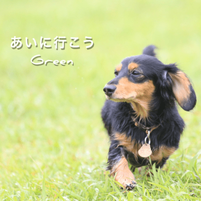 I wanna meet you Front Cover