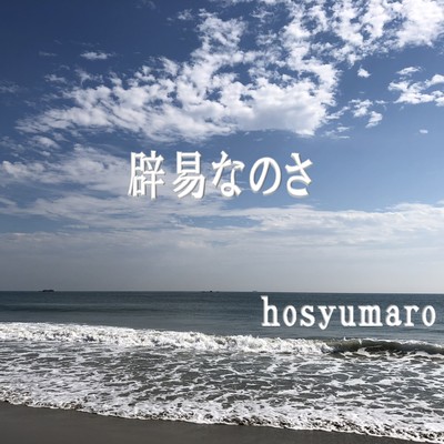 辟易なのさのジャケット写真