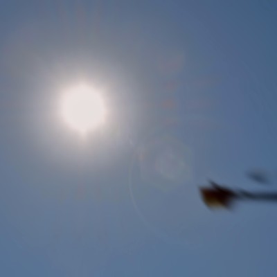 新しい日にのジャケット写真