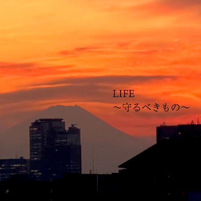 LIFE -Things Worth Protecting- Front Cover